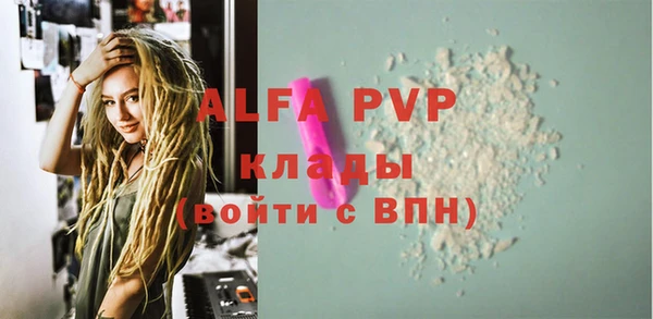стаф Алексин