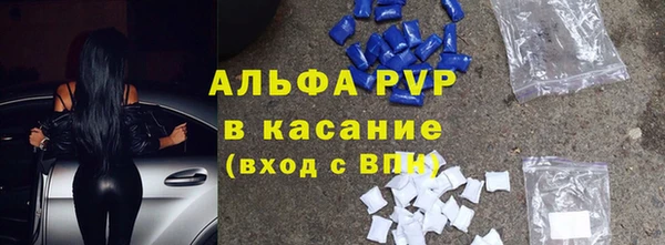 стаф Алексин