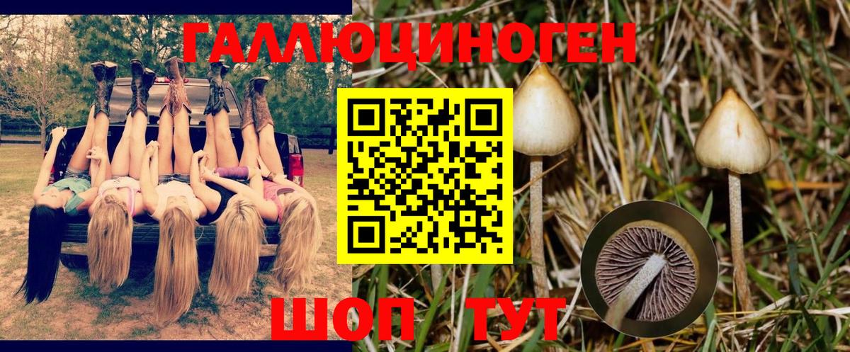 Галлюциногенные грибы прущие грибы Ахтубинск